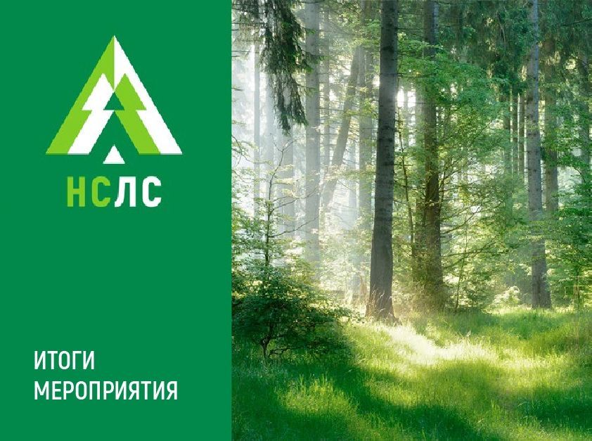 1 февраля 2024 г. семинар «Сертификация в Национальной системе лесной сертификации»