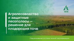 Агролесоводство и защитные лесополосы: как лес помогает почве
