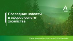 Дайджест новостей лесной отрасли и экологической повестки