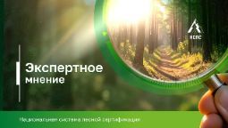 Разъяснение по использованию переработанного материала в системе цепочки поставок НСЛС